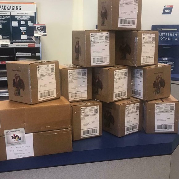 Line worker   / Lineman - Picture 4 of 5